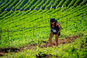 BIB: 
                            <button type="button" onclick="openModal(19161378)" class="btn btn-primary btn-sm float-right btn-popup" data-toggle="modal" data-target=".modal-high-quality">
                        <i class="fas fa-shopping-cart"></i> Add to Cart
                    </button>
                                            <button type="button" onclick="isThisMe(19161378, true)" class="btn btn-success btn-sm float-right btn-popup btn-isme hidden" data-toggle="tooltip" data-placement="bottom" title="นี่คือรูปของคุณใช่ไหม คลิกที่นี่เพื่อเอาเข้าอัลบั้ม">
                        <i class="fas fa-plus"></i> Add to album
                    </button>
                    <button type="button" onclick="isThisMe(19161378, false)" class="btn btn-warning btn-sm float-right btn-popup btn-isnotme hidden">
                        <i class="fas fa-ban"></i> Remove from album
                    </button>